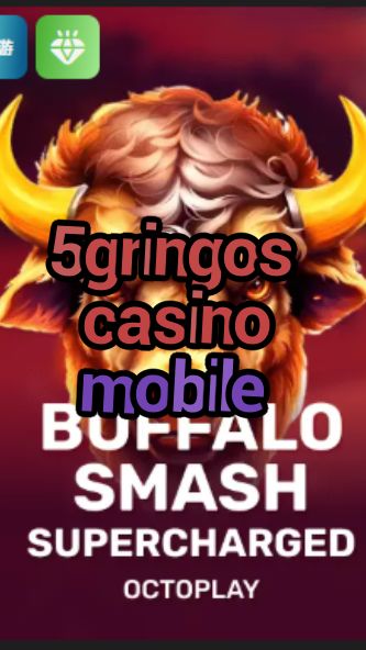 5gringos casino mobile-w4cy2mdjlx2bf.com